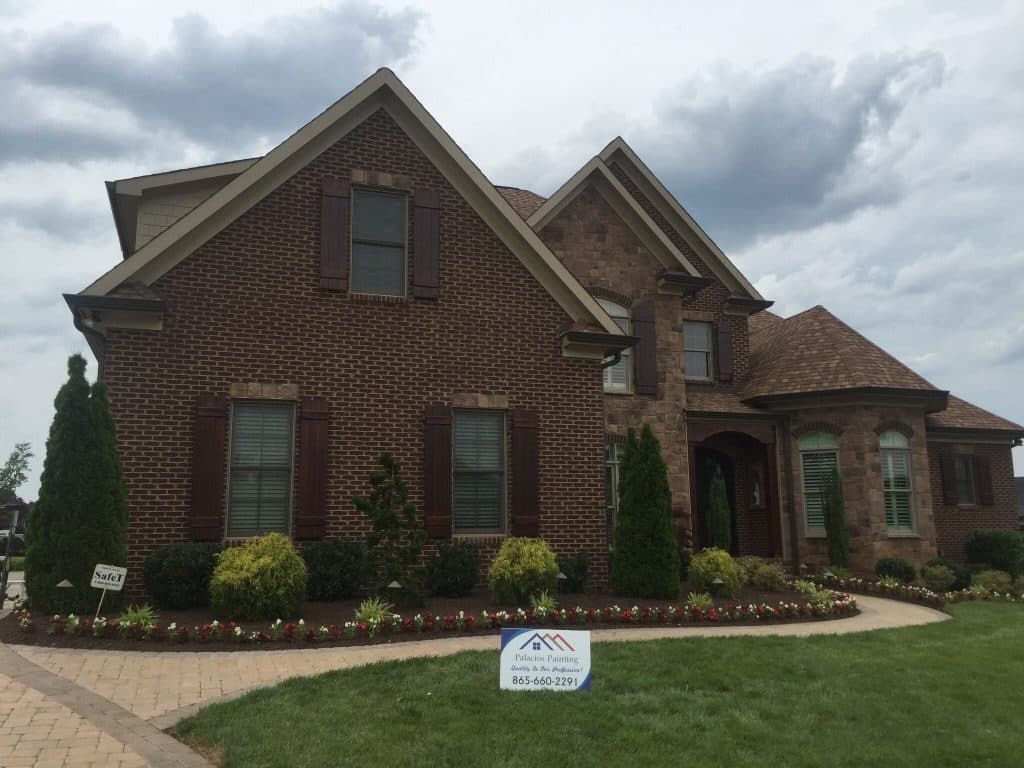 Palacios Painting Process